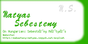 matyas sebesteny business card